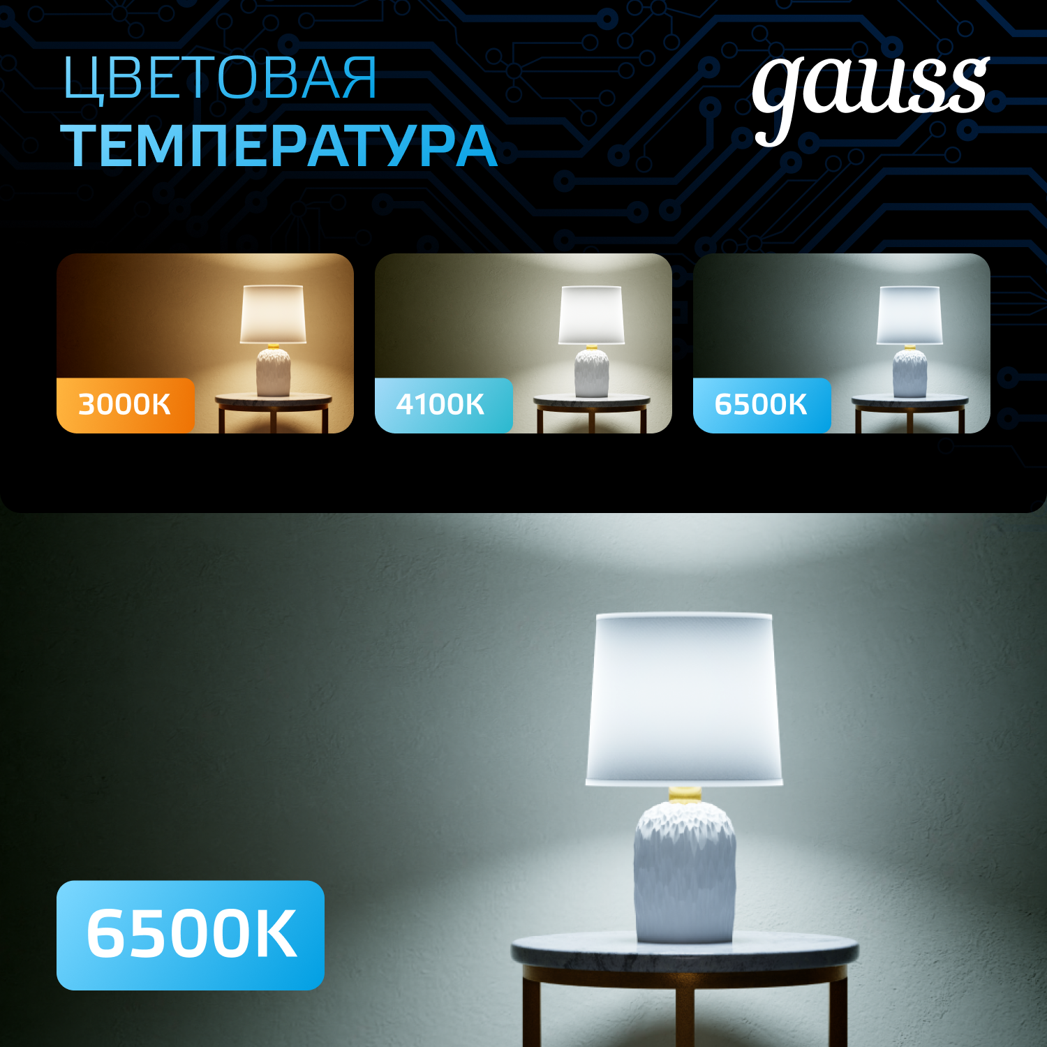 Светодиодная лампа Gauss G95 16Вт 150-265В 6500K E27