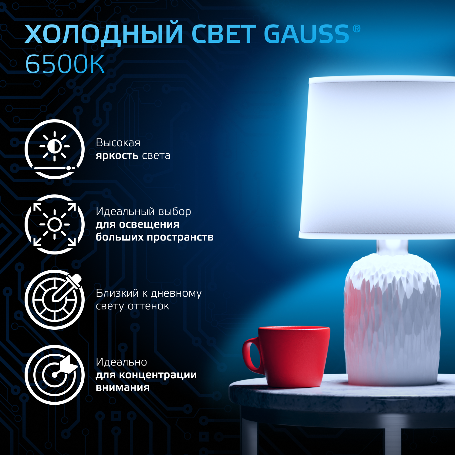 Светодиодная лампа Gauss G95 16Вт 150-265В 6500K E27